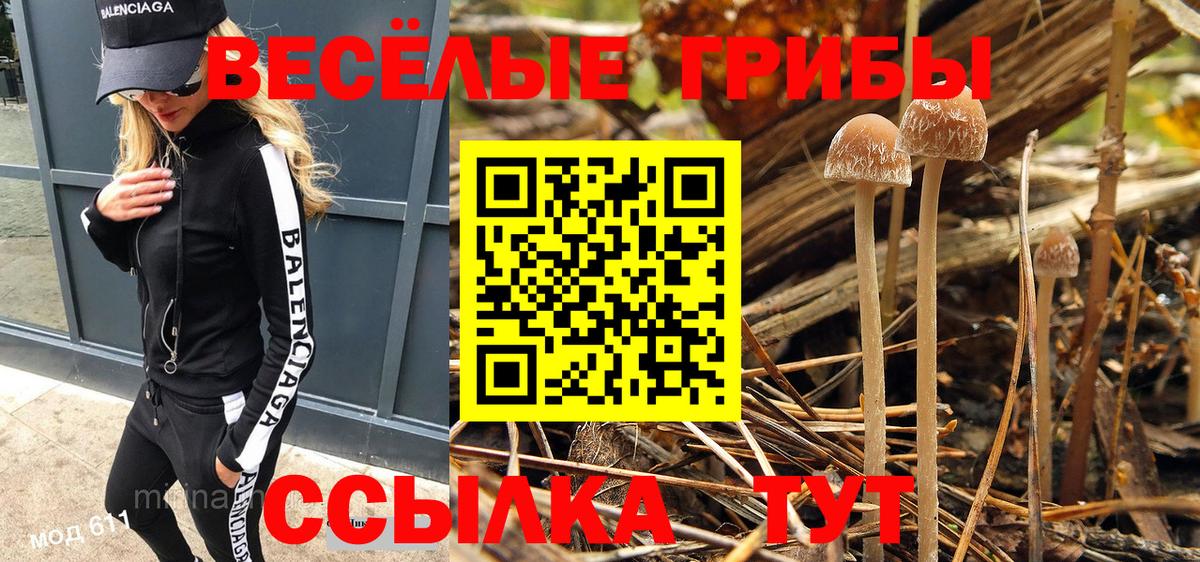 Камышлов  Галлюциногенные грибы GOLDEN TEACHER  Галлюциногенные грибы ЛСД  Вход с VPN 